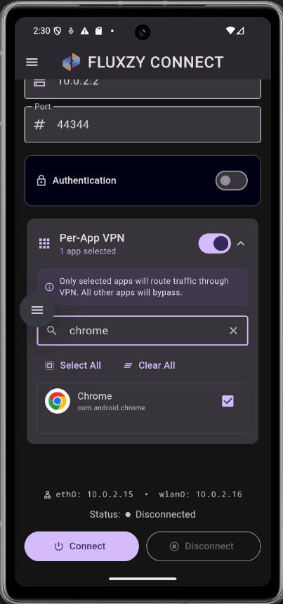 Filter by app with fluxzy connect