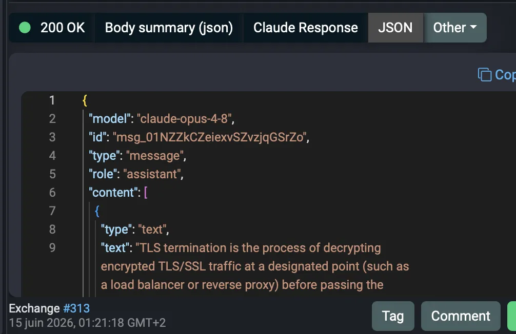 Anthropic Claude messages response body shown as JSON in Fluxzy