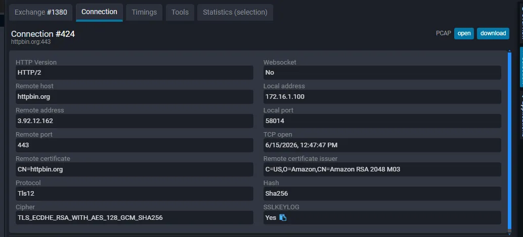 Connection details: HTTP version, IP addresses, ports, certificate and TLS cipher
