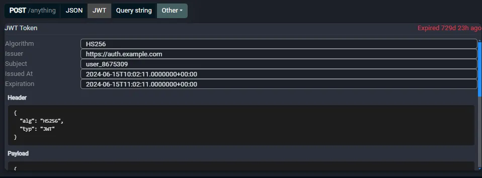 Decoded JWT showing algorithm, issuer, subject, expiry, header and payload