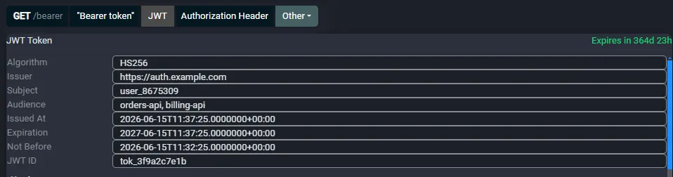 Fluxzy JWT view showing the decoded claims of a Bearer token
