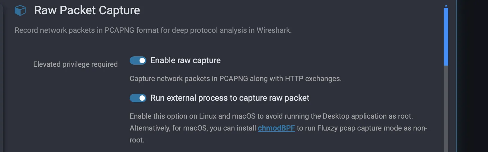 Raw Packet Capture settings: Enable raw capture and Run external process to capture raw packet, both on